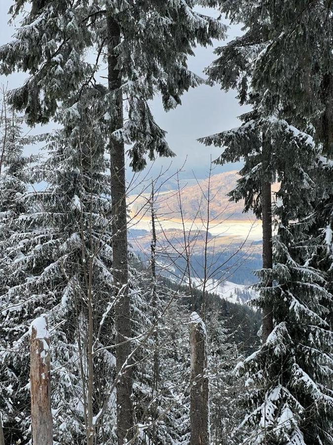 Hotel Mountain View Ceahlău Zewnętrze zdjęcie